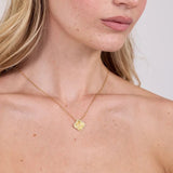 electric picks icon gold cz necklace
