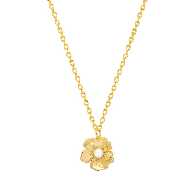 estella bartlett buttercup gold pendant necklace