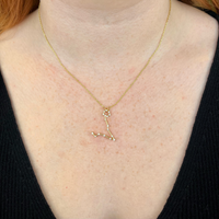 joydrop pisces gold cz zodiac necklace